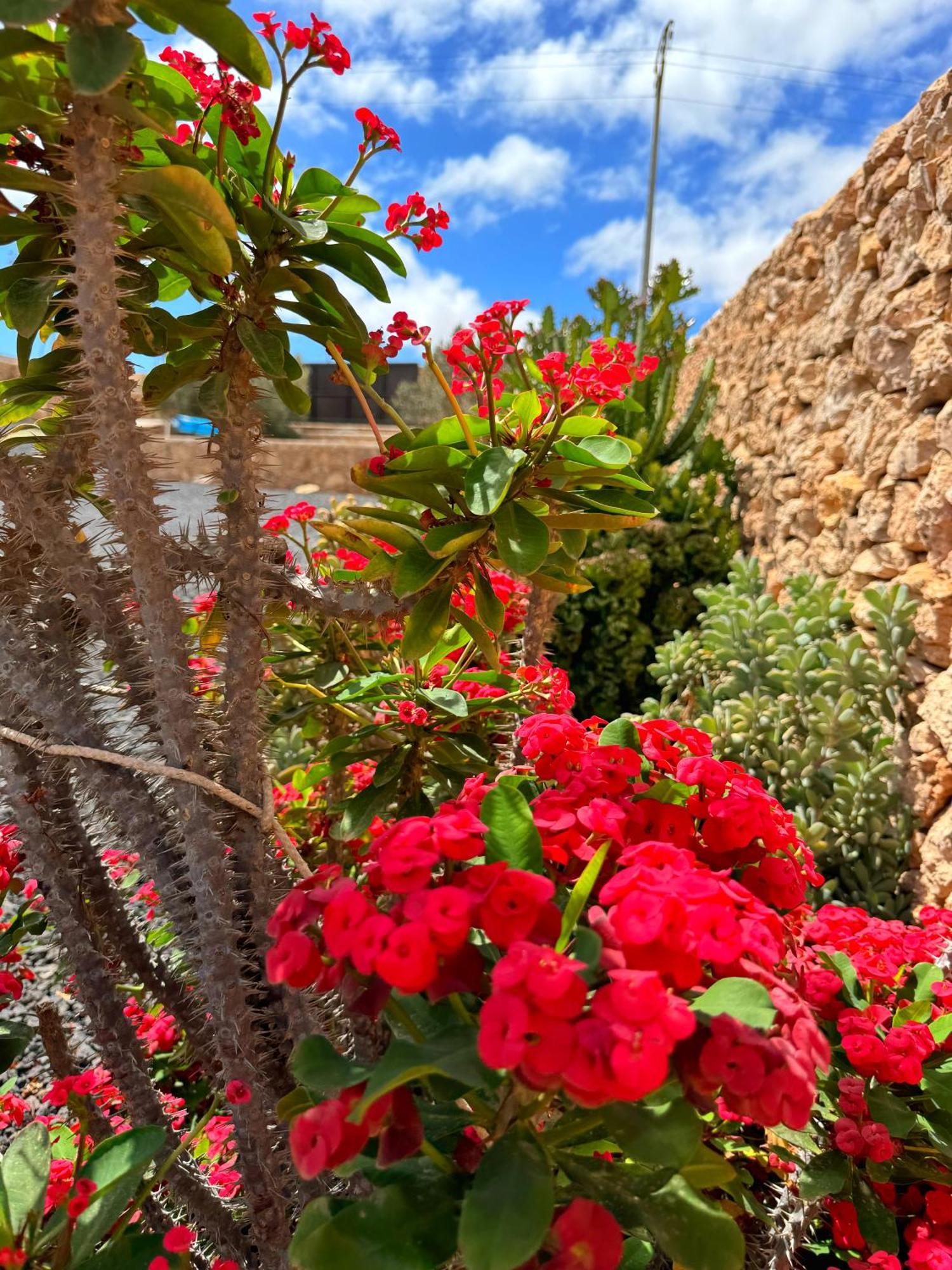 Casa Marisa With Heated Pool & Garden Βίλα Tindaya Εξωτερικό φωτογραφία